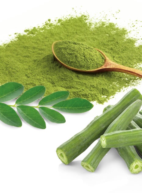 health benefits of moringa powder