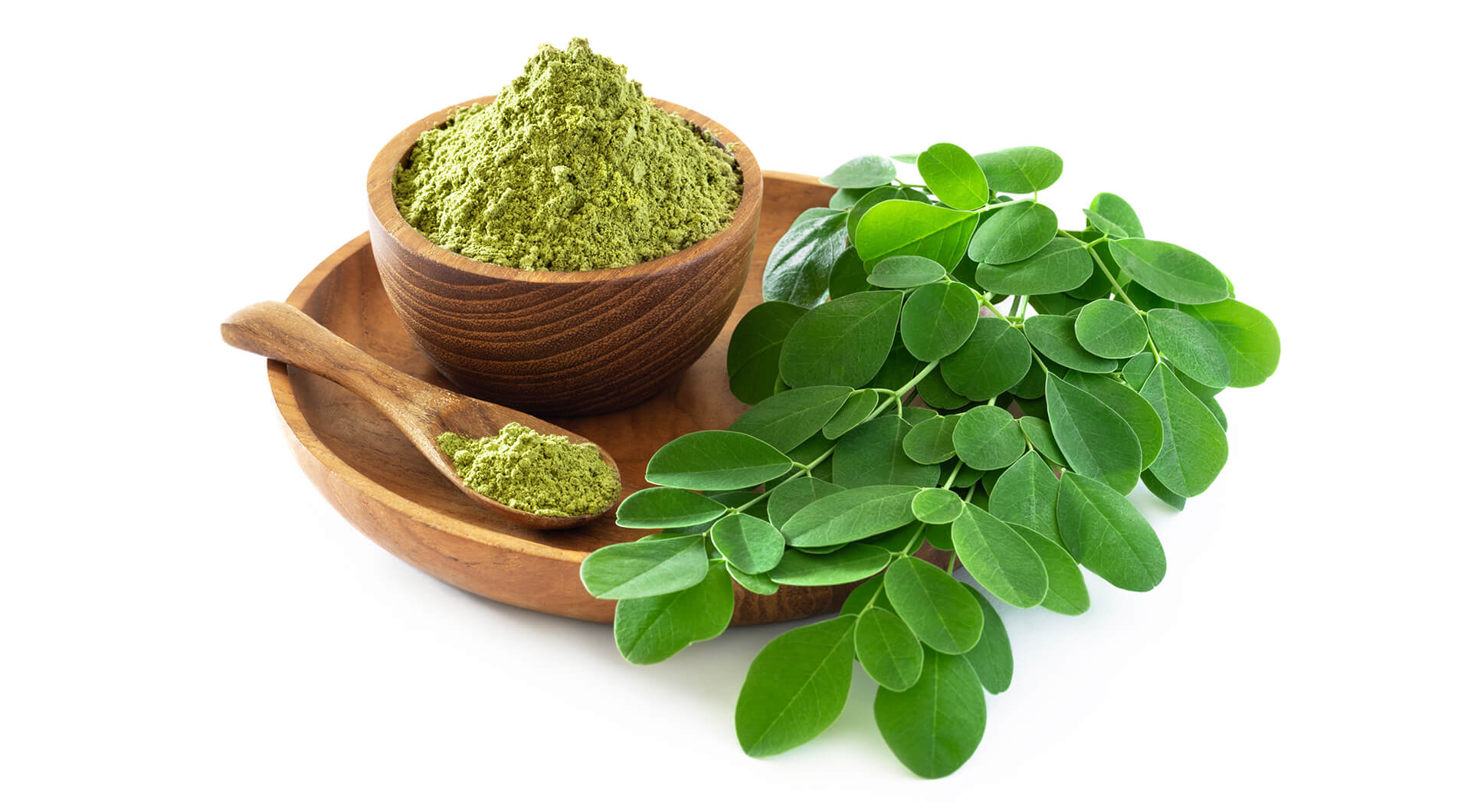 benefits of moringa powder