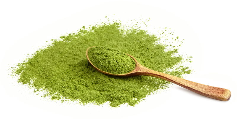 Moringa powder