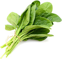 Spinach